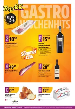 Vorschau des Merkblatts TopCC aktionen vom Shop TopCC gültig von 17.08.2026 bis 22.08.2026