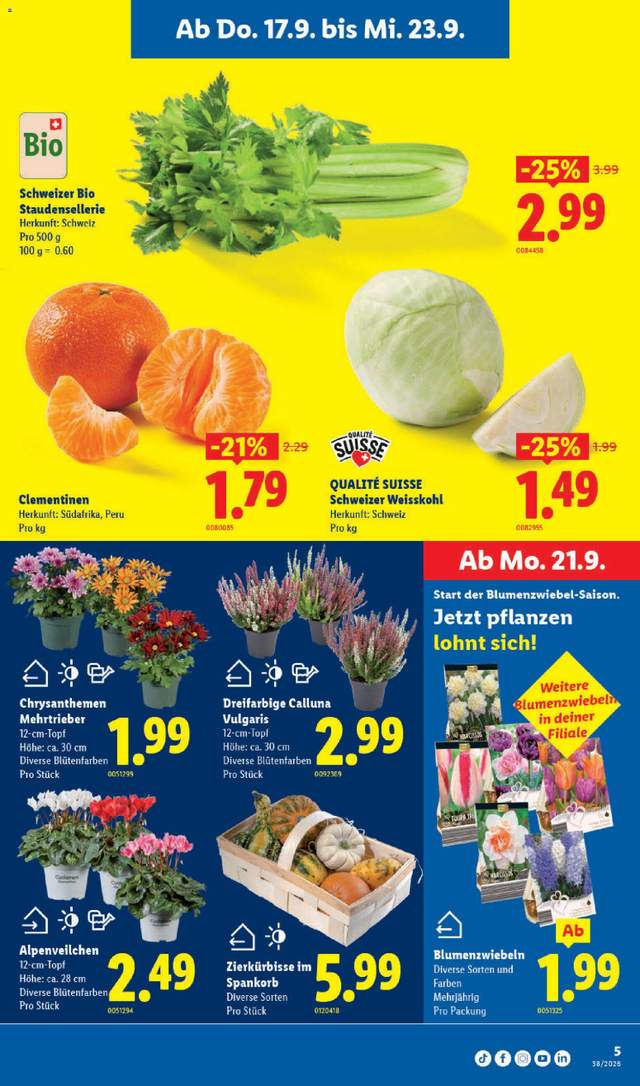 Neue Lidl Aktionen ab 17.09.
