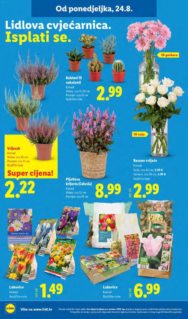 Novi Lidl katalog od 24.08.