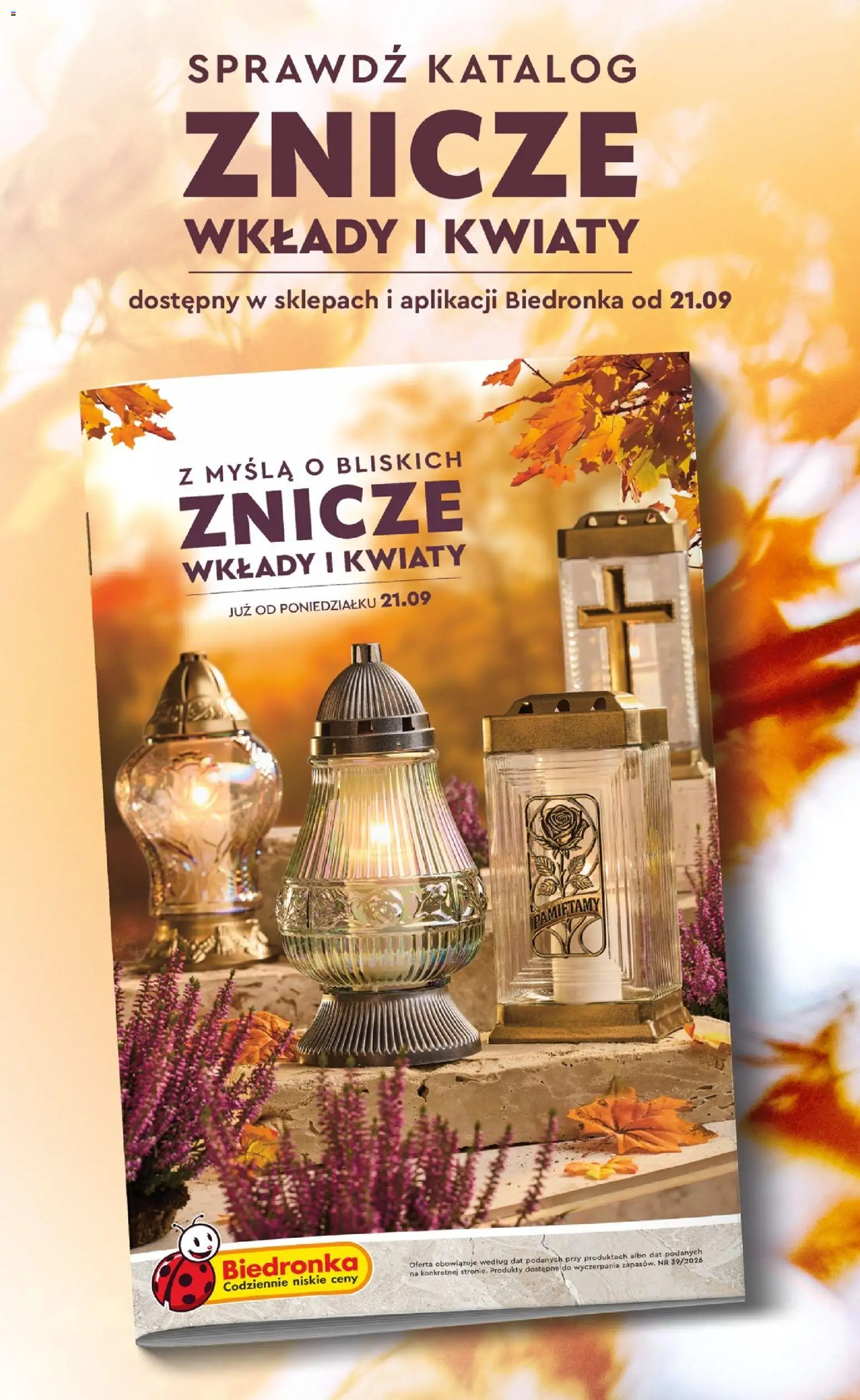 Pogląd gazetki "Biedronka gazetka - Hity i inspiracje" ze sklepu Biedronka ważnej od 03.10.2026 - Czapka, Rękawiczki