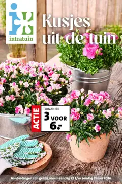 Voorbeeld van Intratuin folder van winkel Intratuin geldig vanaf 25-05-2026