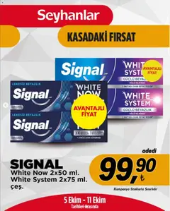 Seyhanlar Market Seyhanlar Market Katalog 05.10.2026 - Broşürünün önizlemesi