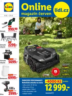 Náhled nabídky: Lidl Lidl magazín platný od 08.06.2026