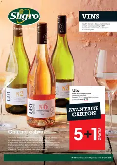 Prévisualisation de Sligro Publicité Vins du magasin Sligro formulaire valide 11/06/2026