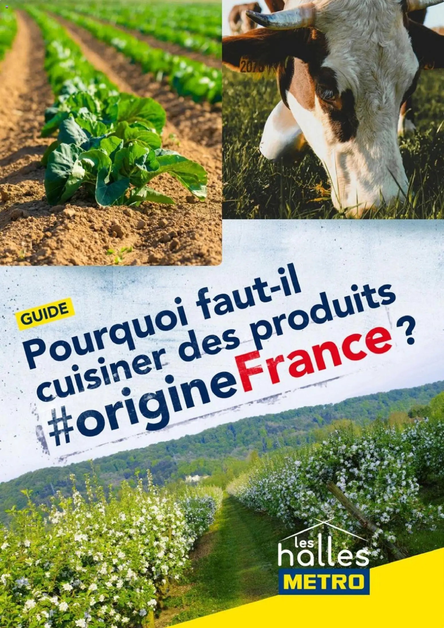 Prévisualisation de METRO - Guide Origine France du magasin METRO formulaire valide 21/09/2026