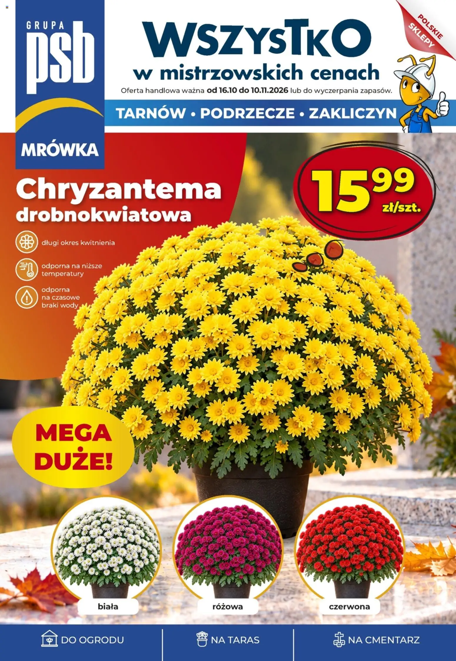 Pogląd gazetki "Mrówka gazetka" ze sklepu Mrówka ważnej od 16.10.2026