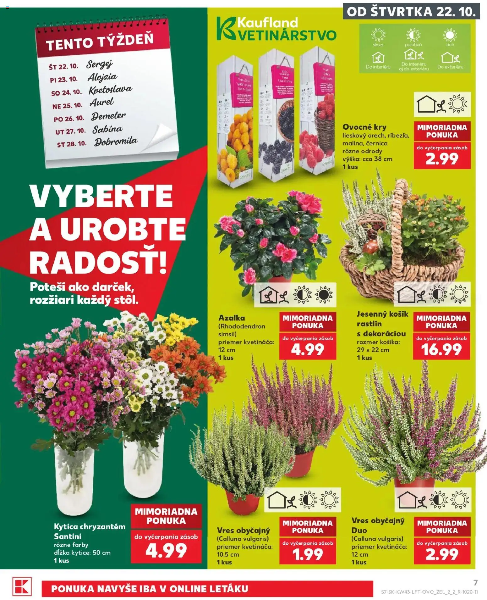 Náhľad Kaufland letáku platného od 22.10.2026
