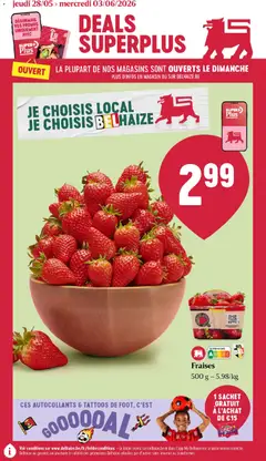 Prévisualisation de Delhaize Folder de la semaine 22 du magasin Delhaize formulaire valide 28/05/2026