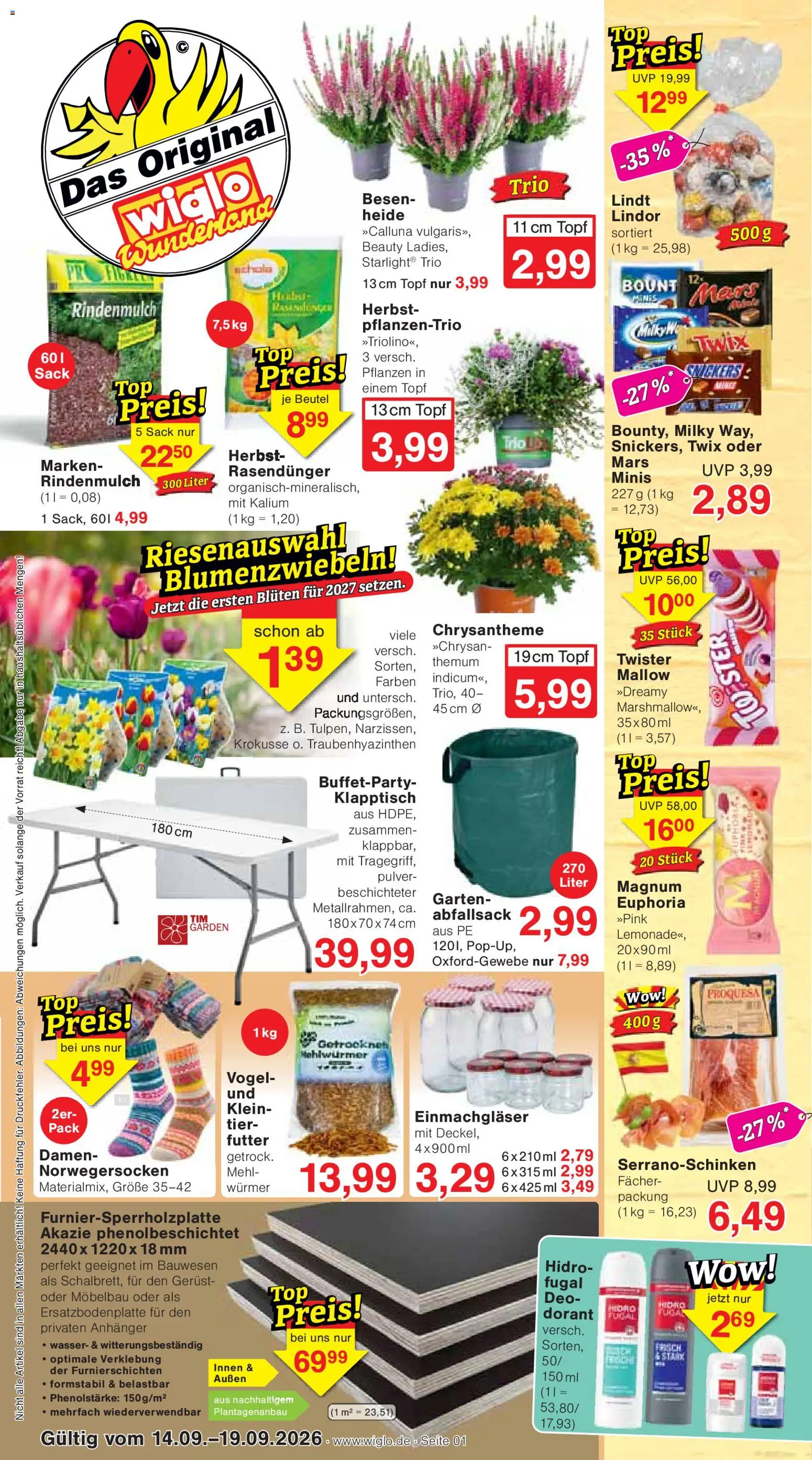 Vorschau von dem Prospekt des Geschäftes Wiglo Wunderland, gültig ab dem 14.09.2026