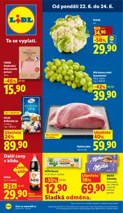 Náhled nabídky: Lidl Lidl leták platný od 22.06.2026