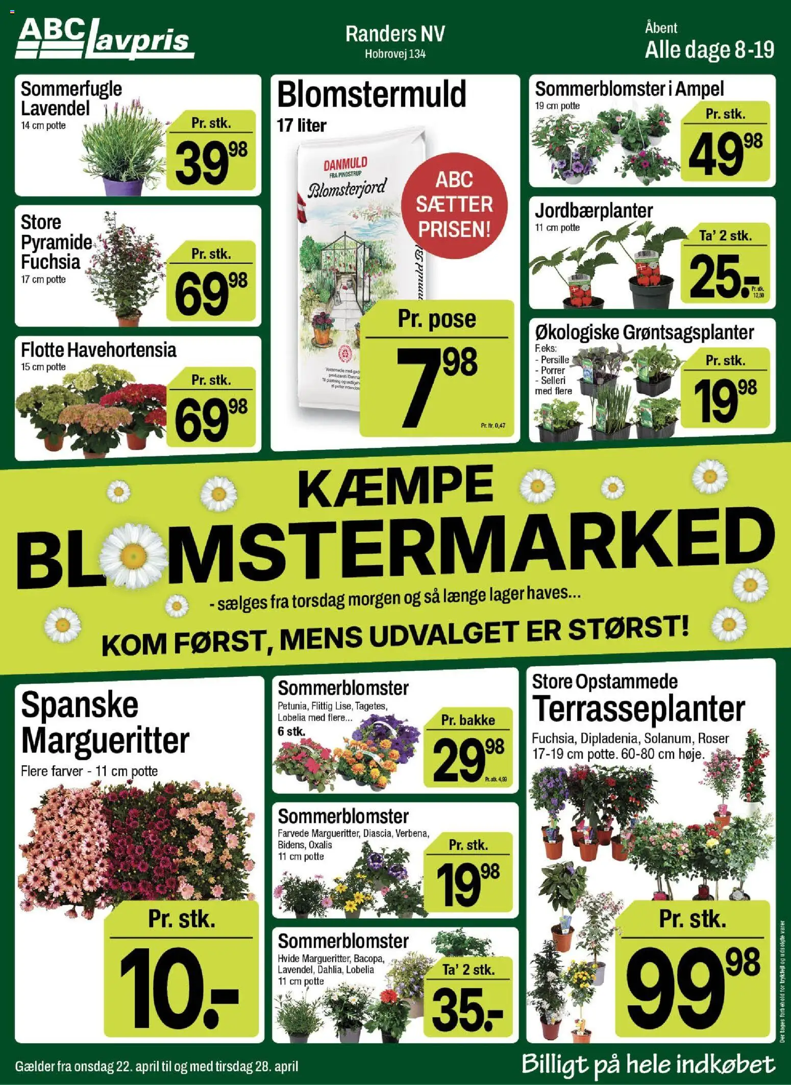 Eksempel på tilbudsavis Abc Lavpris - Randers NV fra butik Abc Lavpris gyldig fra 22/04/2026 - Selleri, Persille, Porrer