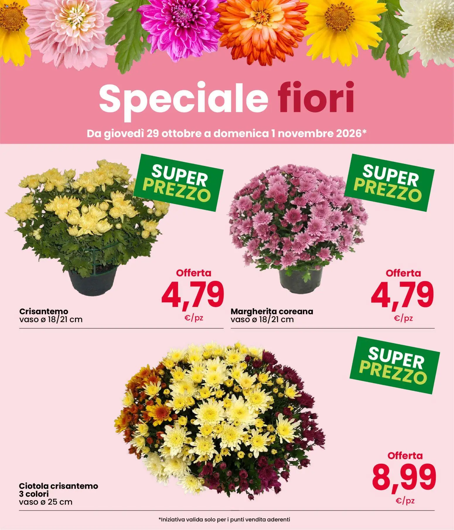 Anteprima dell'opuscolo Interspar volantino Weekend dal negozio Interspar valido da 29/10/2026 - Fiori, Vaso, Ciotola