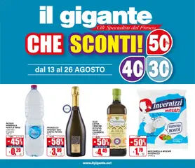 Anteprima dell'opuscolo Il Gigante volantino dal negozio Il Gigante valido da 13/08/2026