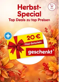 Netto Marken-Discount Produktkatalog - Herbstspecial ab 01.10.2026 gültig