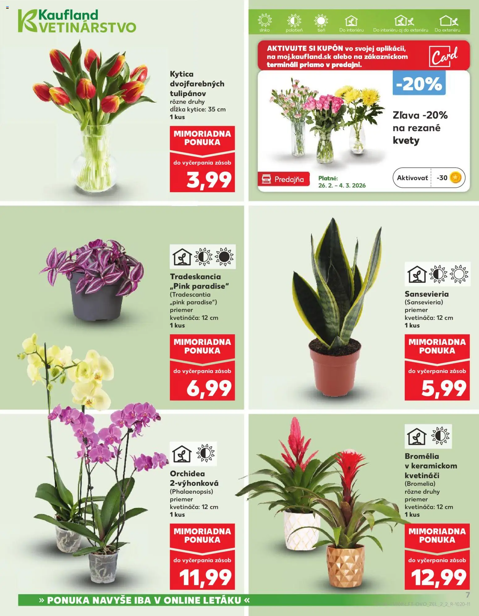 Náhľad Kaufland letáku platného od 26.02.2026 - Kvety, Orchidea