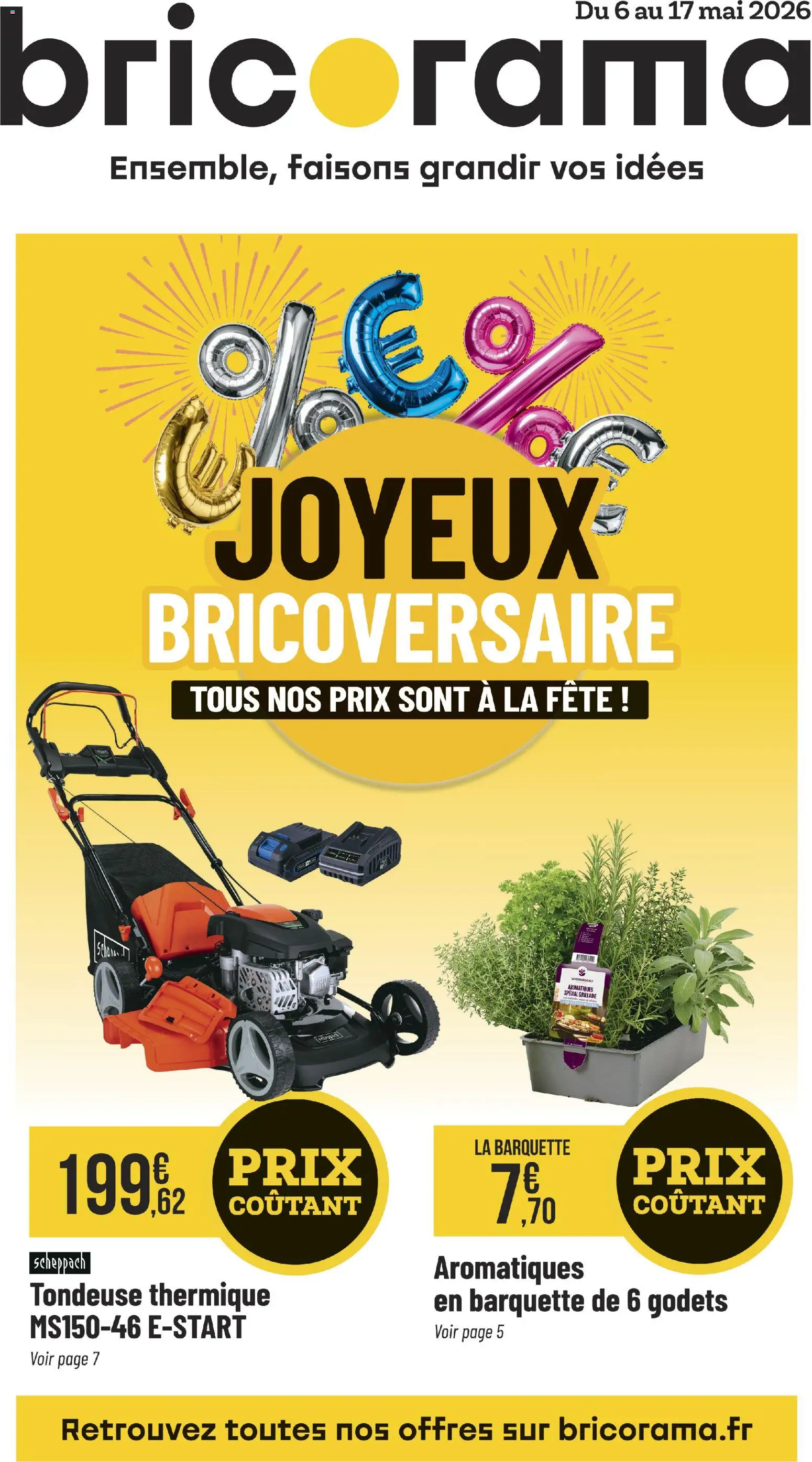 Prévisualisation de Bricorama catalogue du magasin Bricorama formulaire valide 06/05/2026