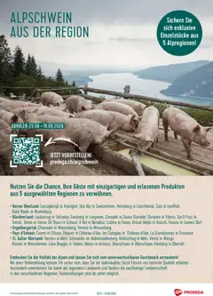 Vorschau des Merkblatts Prodega aktionen Alpschwein aus der Region vom Shop Prodega gültig von 25.07.2026 bis 19.09.2026
