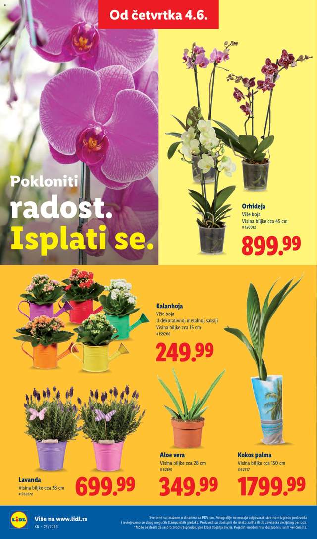 Novi Lidl katalog od 04.06.