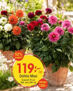 Förhandsgranska reklamblad EKO erbjudanden från butik EKO gäller från 19/07/2026