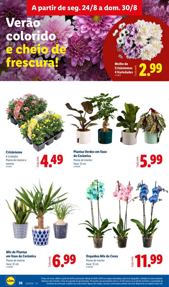 Novo folheto Lidl a partir de 24/08