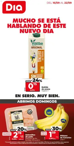 Vista previa del folleto de la tienda Dia válido desde el 16/09/2026 