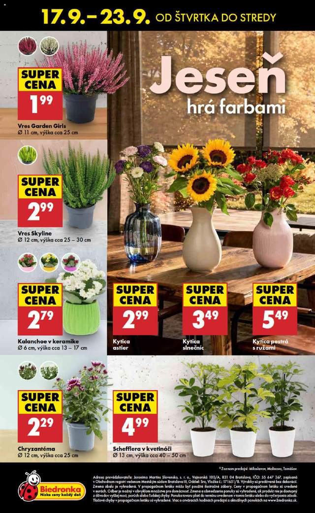Nový Biedronka leták od 17.09.
