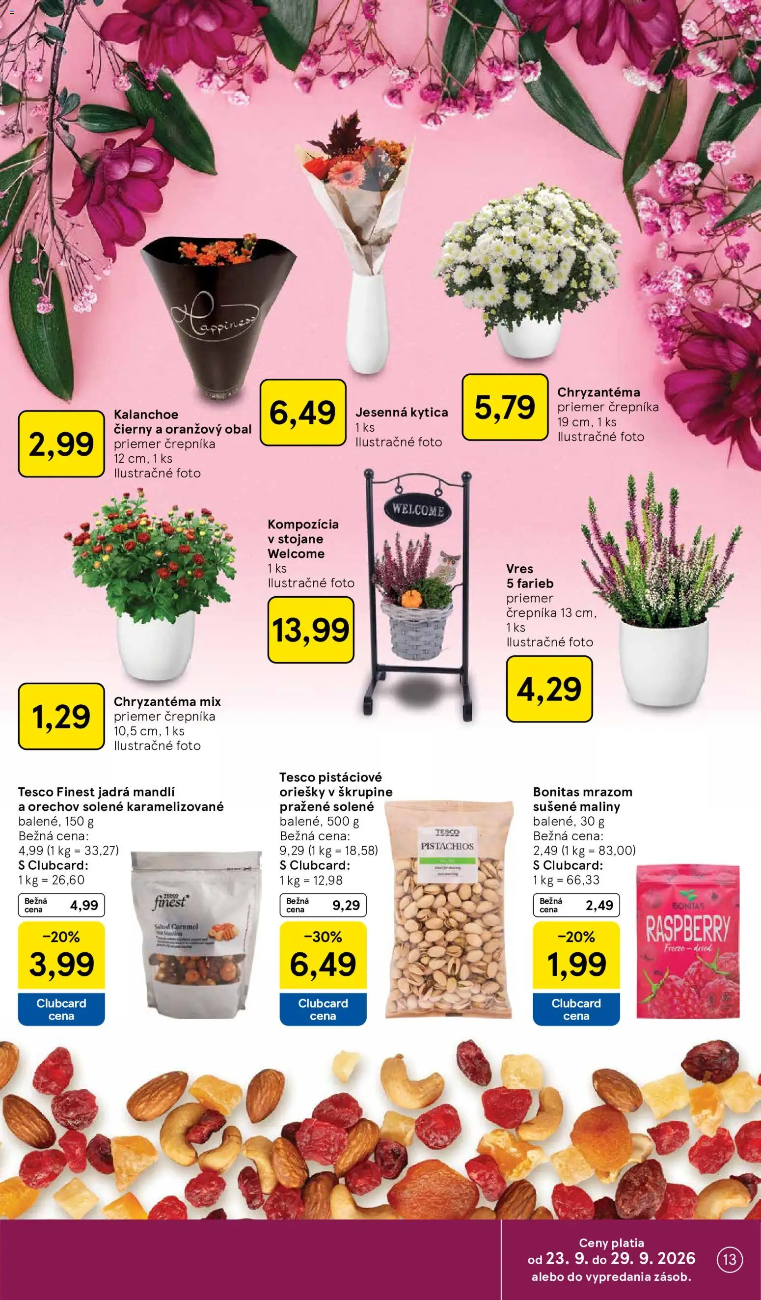 Náhľad Tesco letáku platného od 23.09.2026