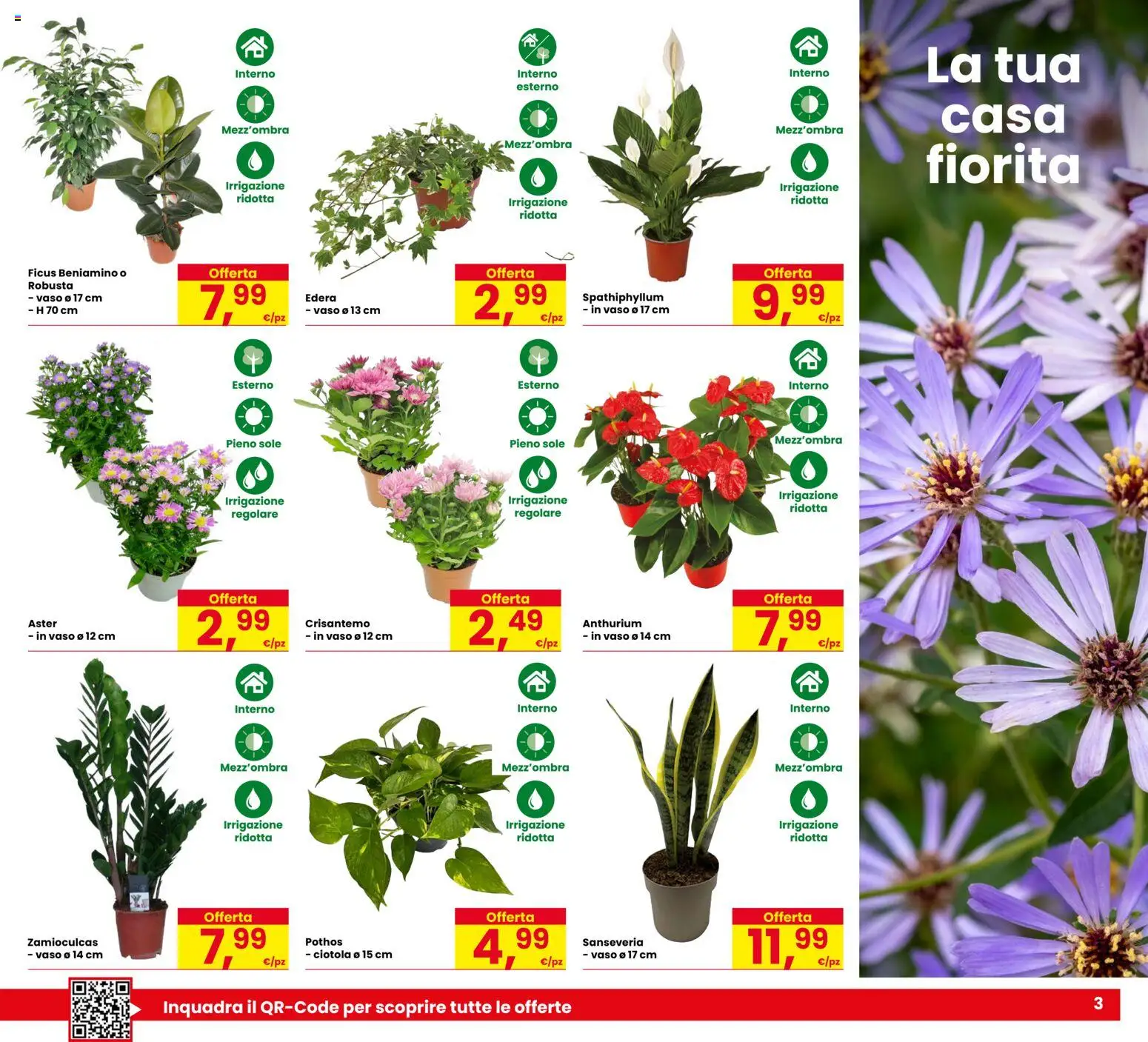 Anteprima dell'opuscolo Eurospar volantino Rovereto dal negozio Eurospar valido da 03/09/2026 - Vaso, Ciotola
