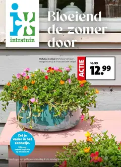 Voorbeeld van Intratuin folder van winkel Intratuin geldig vanaf 08-06-2026