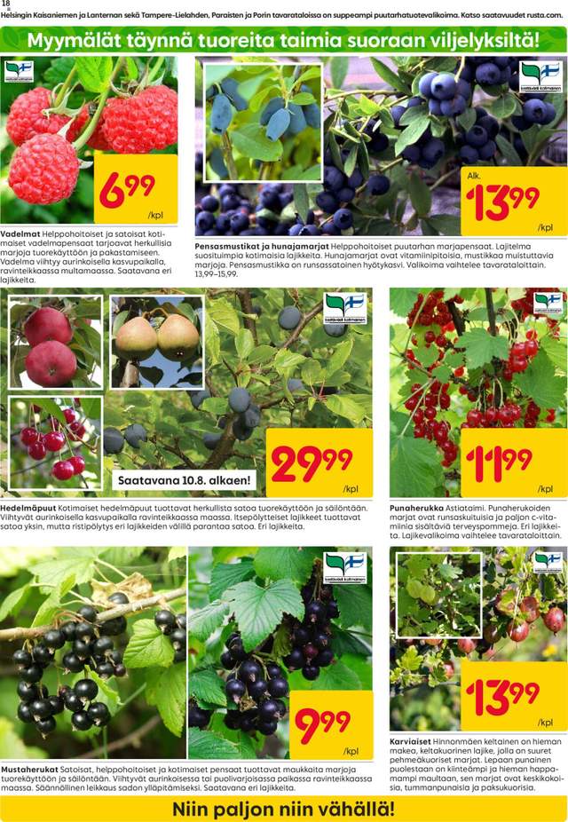 Uusi Rusta tarjouslehti alkaen 03/08