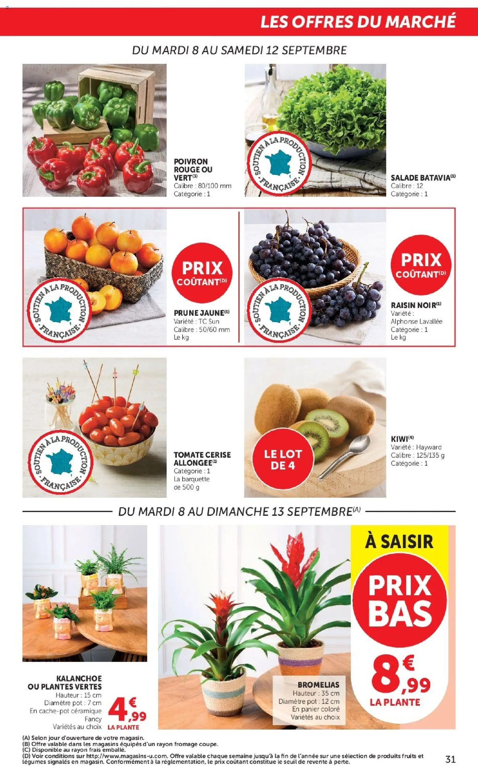 Prévisualisation de Hyper U catalogue du magasin Hyper U formulaire valide 08/09/2026 - Fromage, Salade, Plantes, Cerise, Prune, Poivron, Panier, Plantes vertes