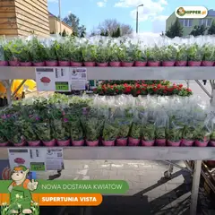 Pogląd gazetki "Hipper gazetka" ze sklepu Hipper ważnej od 01.05.2026