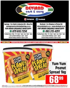Preview of Devland flyer valid from 06/08/2026