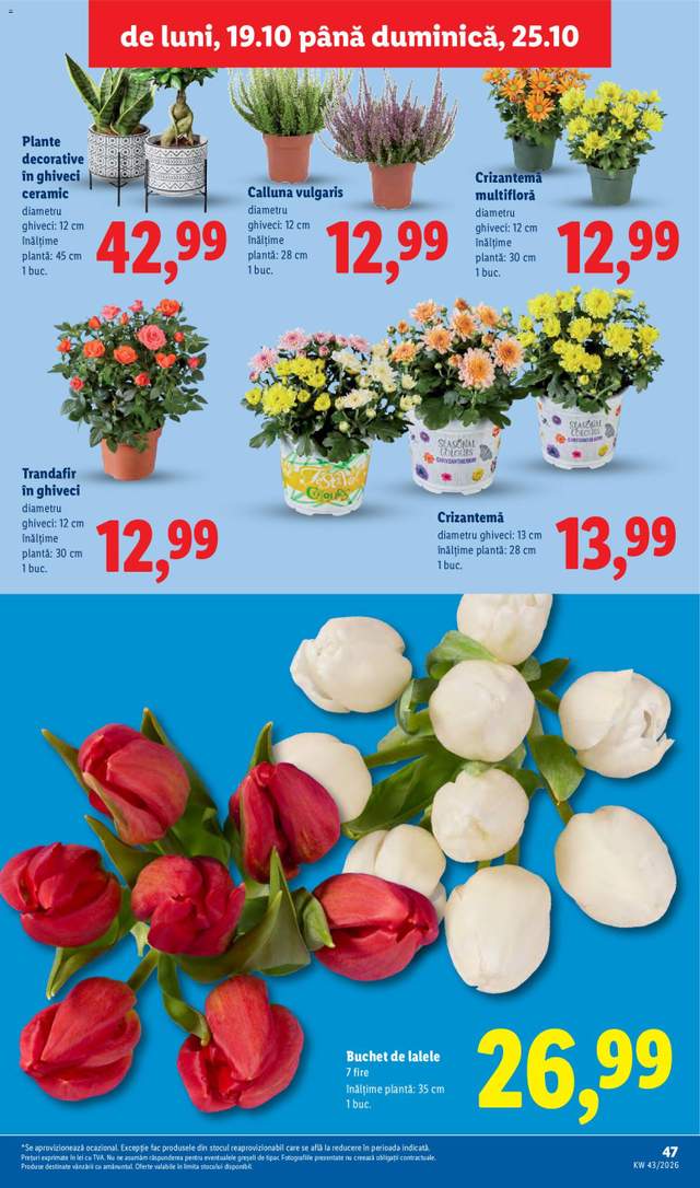 Noul catalog Lidl de la 19.10.