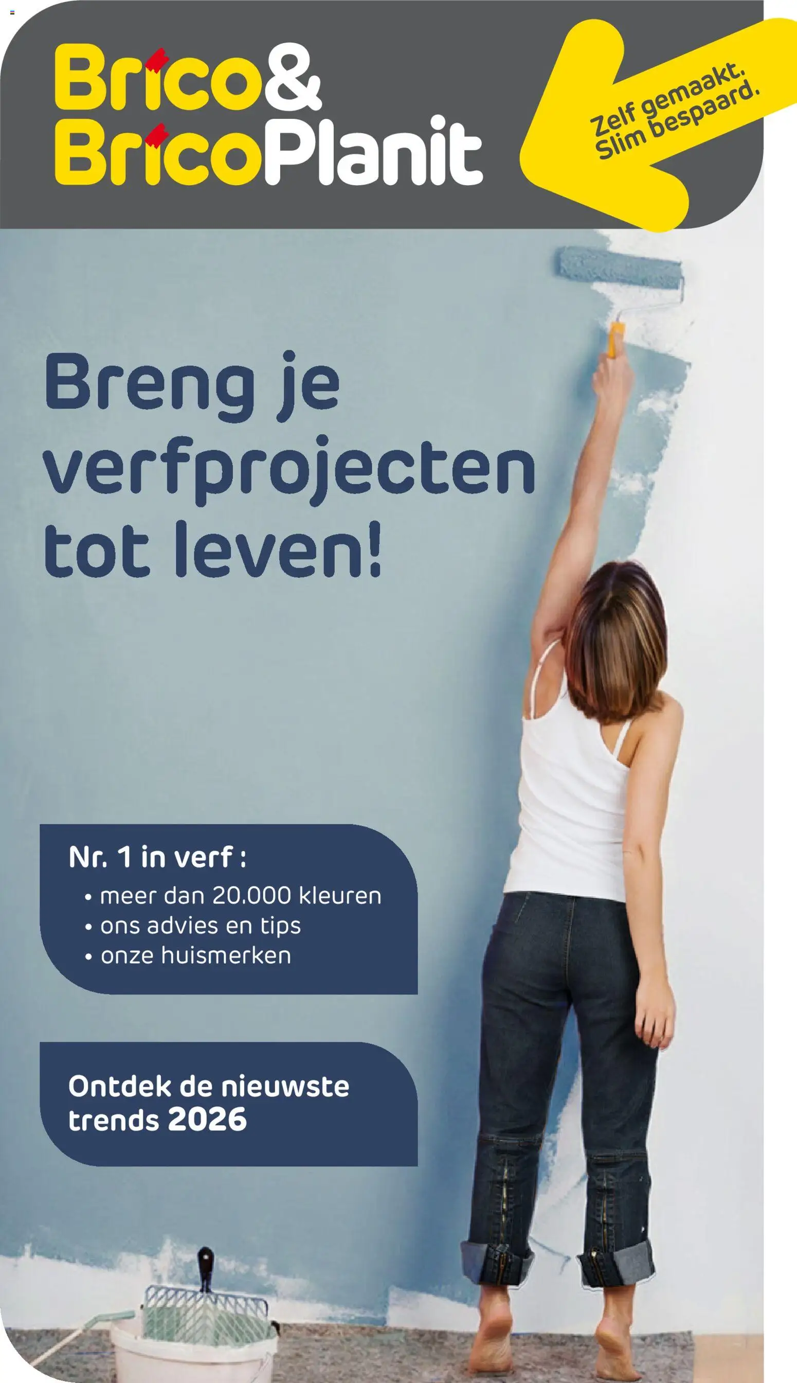 Voorbeeld van Brico verfmagazine van winkel Brico geldig vanaf 13/05/2026