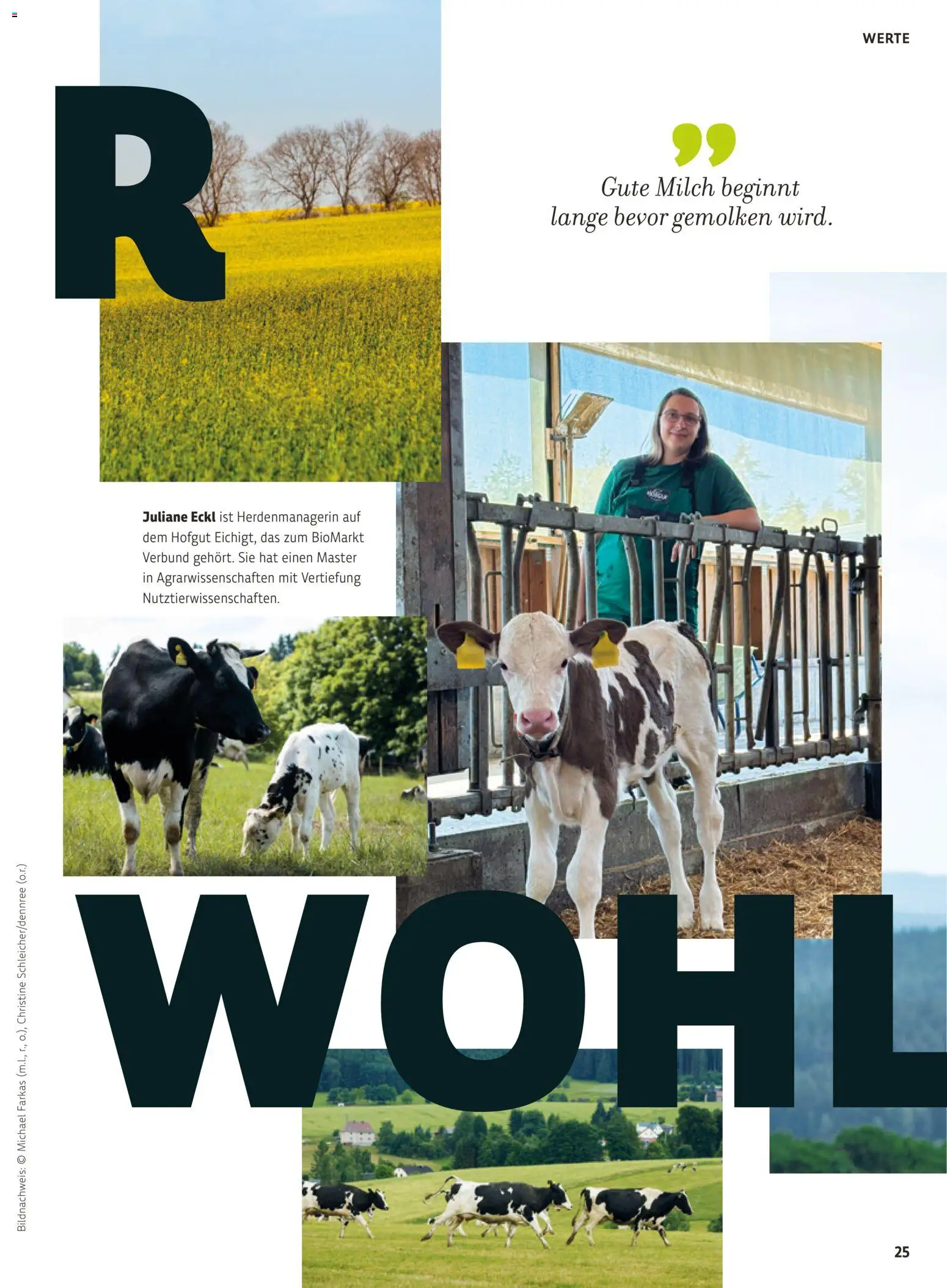 Vorschau von dem Prospekt des Geschäftes BioMarkt, gültig ab dem 26.10.2026 - Milch