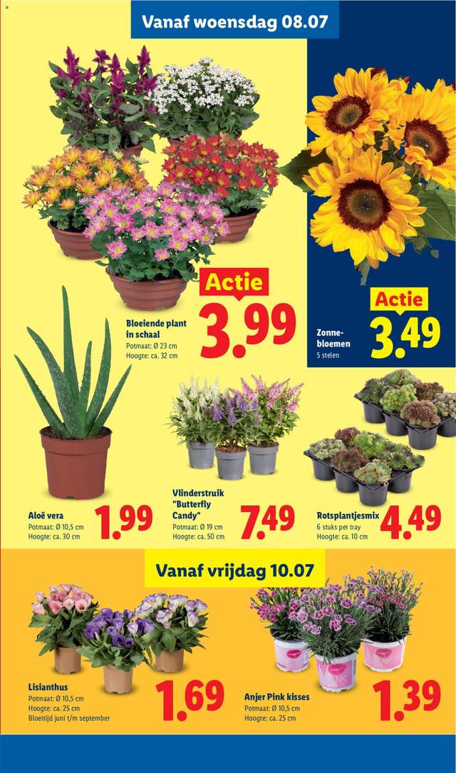 Nieuwe Lidl folder vanaf 06-07
