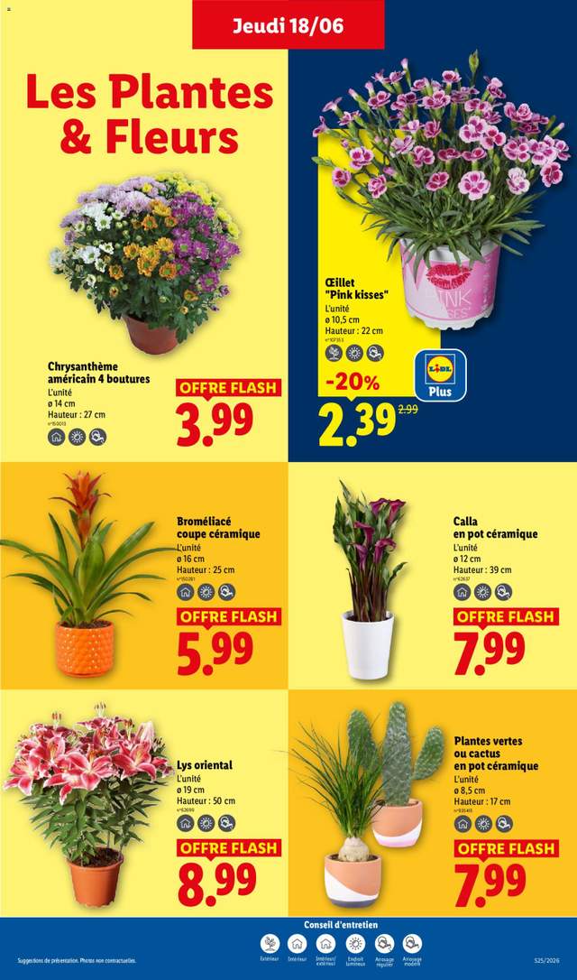 Nouveau catalogue Lidl à partir du 18/06