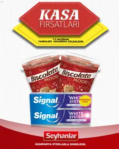 Seyhanlar Market Seyhanlar Market - Katalog Kasa Fırsatları 01.06.2026 - Broşürünün önizlemesi