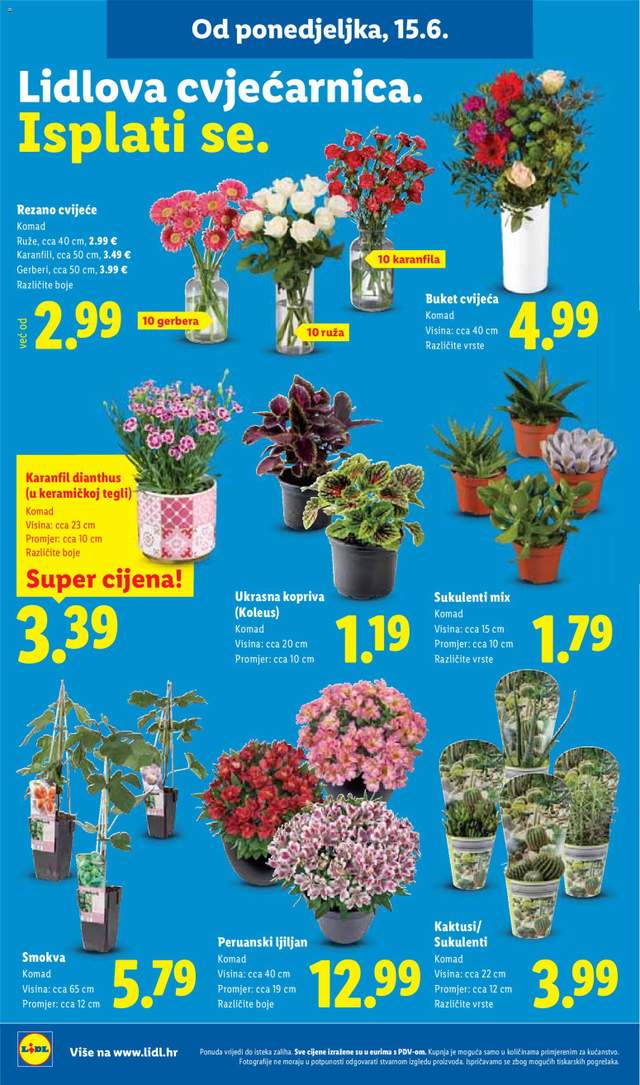 Novi Lidl katalog od 15.06.
