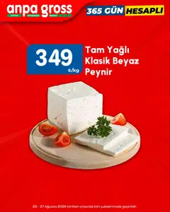 Anpa Gross Anpa Gross Katalog 20.08.2026 - Broşürünün önizlemesi