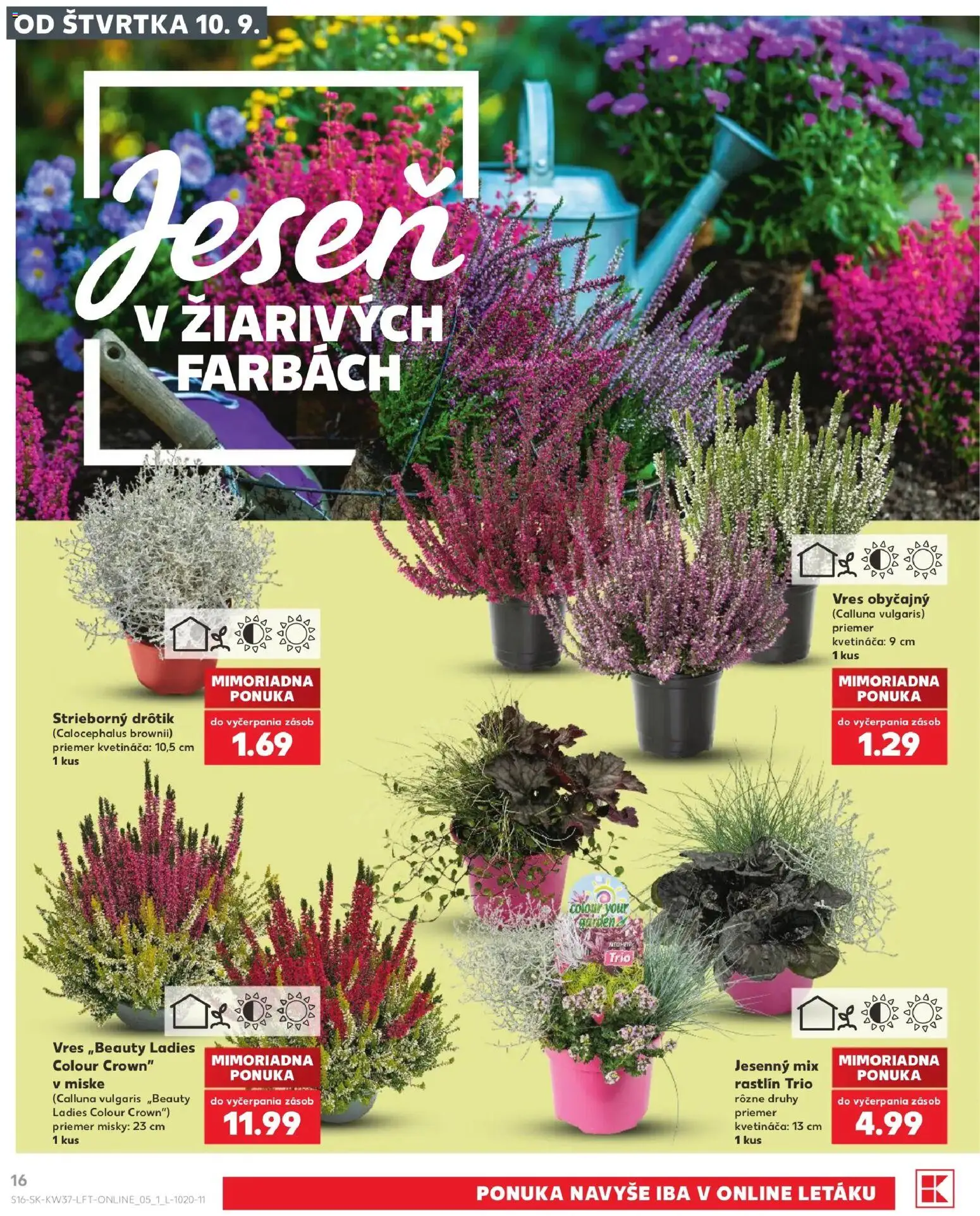 Náhľad Kaufland letáku platného od 10.09.2026