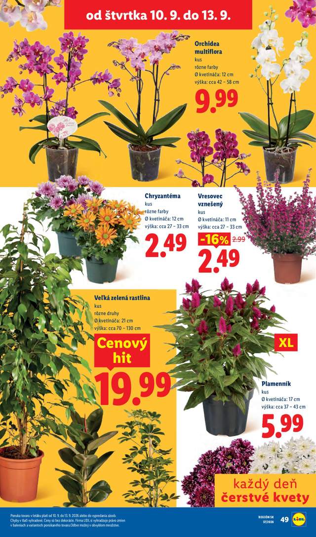 Nový Lidl leták od 07.09.