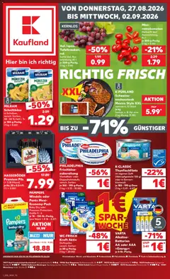 Voorbeeld van Kaufland DE -DE Folder van winkel Kaufland DE geldig vanaf 27-08-2026