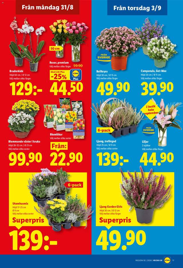 Nytt Lidl reklamblad från 31/08