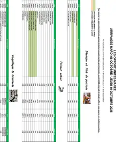 Prévisualisation de Promocash Opportunités Marée du magasin Promocash formulaire valide 06/10/2026