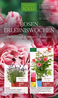 Vorschau von dem Prospekt des Geschäftes Pflanzen-Kölle, gültig ab dem 26.05.2026