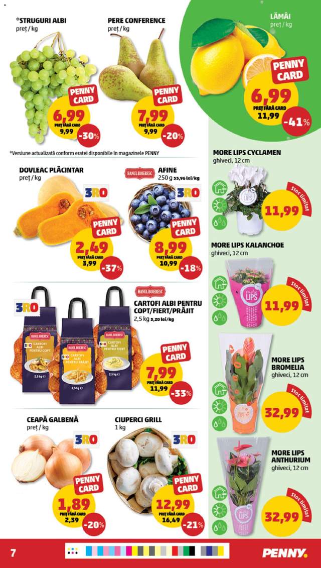 Noul catalog Penny de la 26.08.