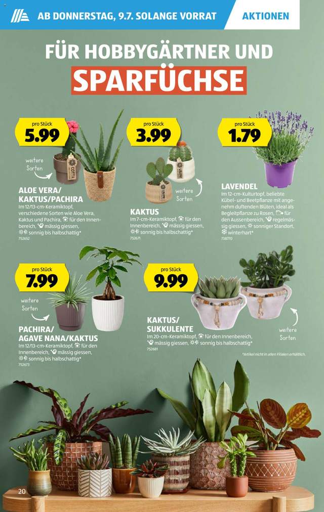 Neue Aldi Aktionen ab 09.07.