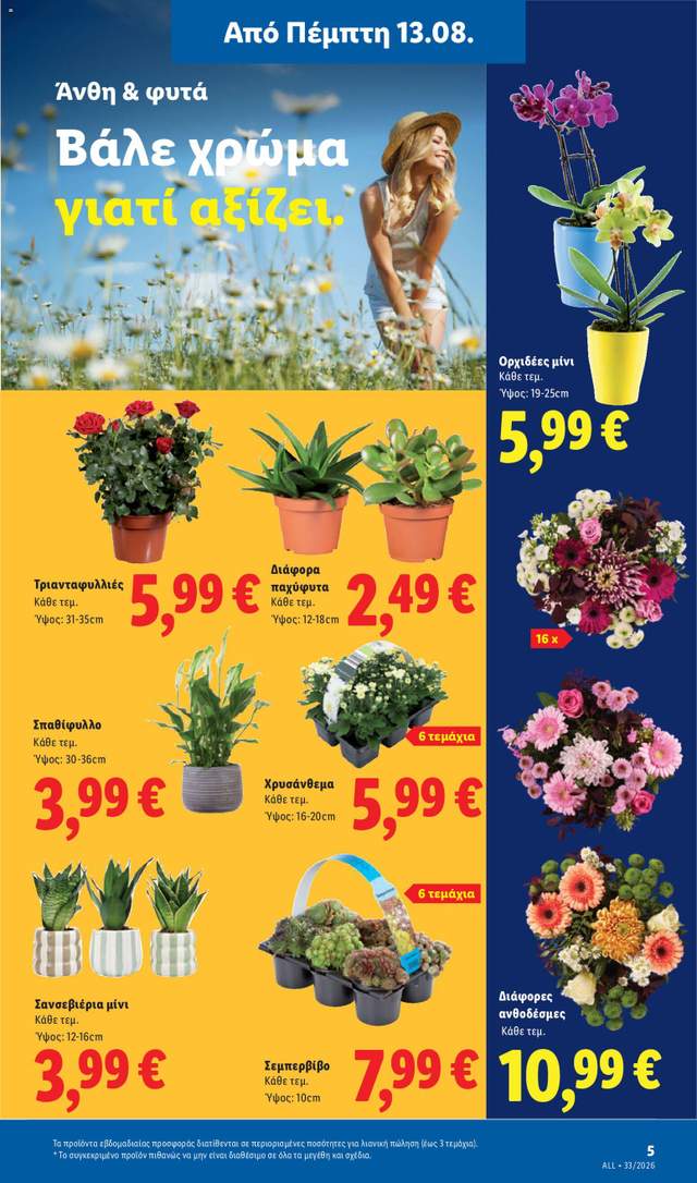 Νέο φυλλάδιο Lidl από τις 13/08